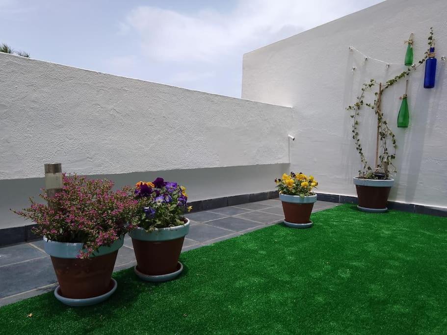 Apartamento Humboldt ,Island Paradise La Orotava Exteriör bild